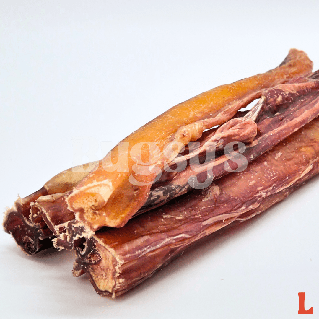 Australian Grass Fed BEEF PIZZLE Bully Sticks