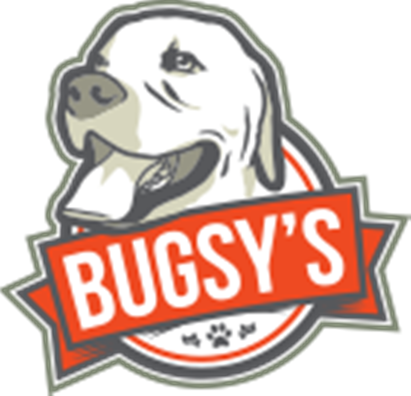 ABBY'S STORY We're smashing the doggy lockdown blues with a Flash Sa